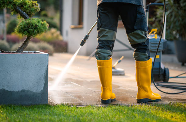 Best Local Pressure Washing Services  in USA